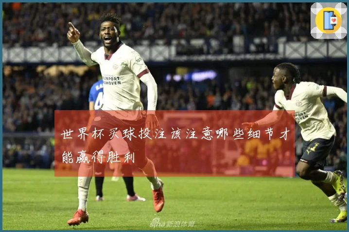 世界杯买球投注该注意哪些细节才能赢得胜利