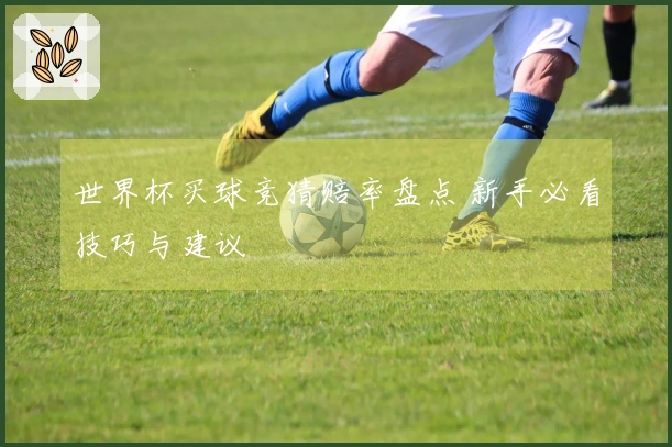世界杯买球竞猜赔率盘点 新手必看技巧与建议