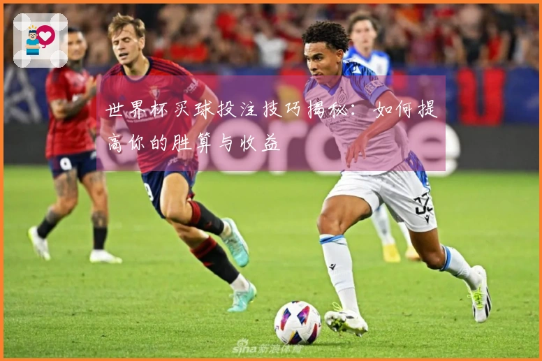 世界杯买球投注技巧揭秘：如何提高你的胜算与收益