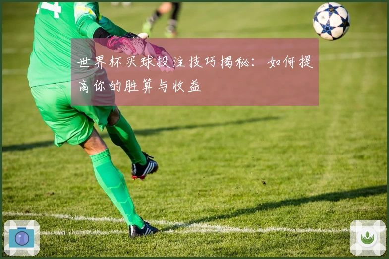 世界杯买球投注技巧揭秘：如何提高你的胜算与收益