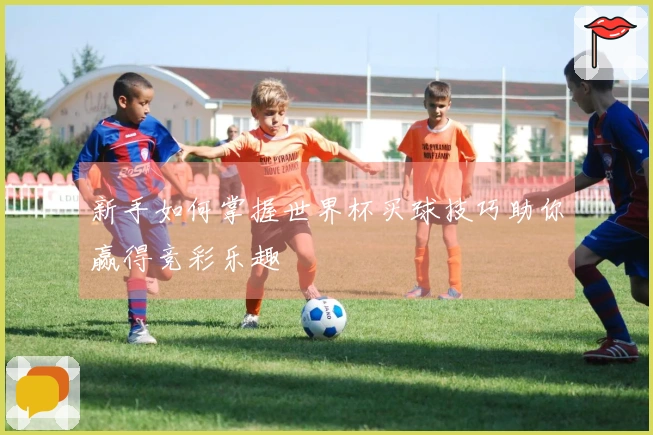 新手如何掌握世界杯买球技巧助你赢得竞彩乐趣