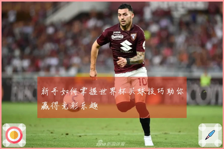 新手如何掌握世界杯买球技巧助你赢得竞彩乐趣